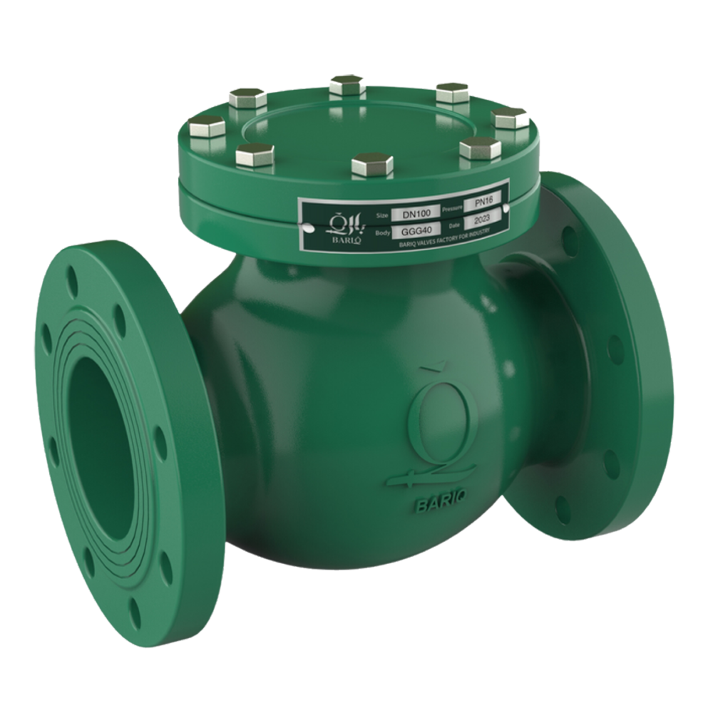 BARIQ Swing Check Valve Model 9000